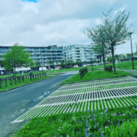 Wijkraad Nesselande plaatst weer nutteloos terror-‘parkeerveld’ op sportgebied