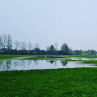 Wijkraad Nesselande plaatst weer nutteloos terror-‘parkeerveld’ op sportgebied