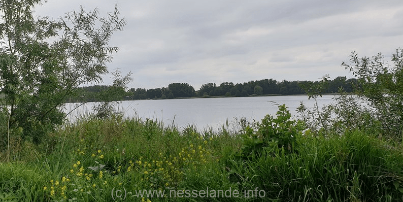 Visser slaat overboord op de Zevenhuizerplas