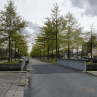 https://www.rotterdam-nesselande.nl/nieuws/zuidplas/rotterdam/nesselande/wonen/diverse-autos-geramd-op-laan-van-avant-garde-nesselande/
