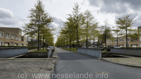 https://www.rotterdam-nesselande.nl/nieuws/zuidplas/rotterdam/nesselande/wonen/diverse-autos-geramd-op-laan-van-avant-garde-nesselande/