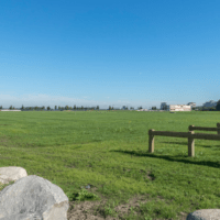 ‘Groene woontoren Kosboulevard’