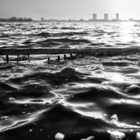 De #Waterpraat van Waterboss van het Hoogheemraadschap