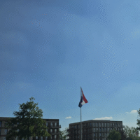Populaire, zonnige Koningsdag 2025 in Nesselande