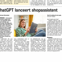 [ADV.] Nesselander (en AI-expert De Telegraaf) schrijft besteller over verkopen met AI