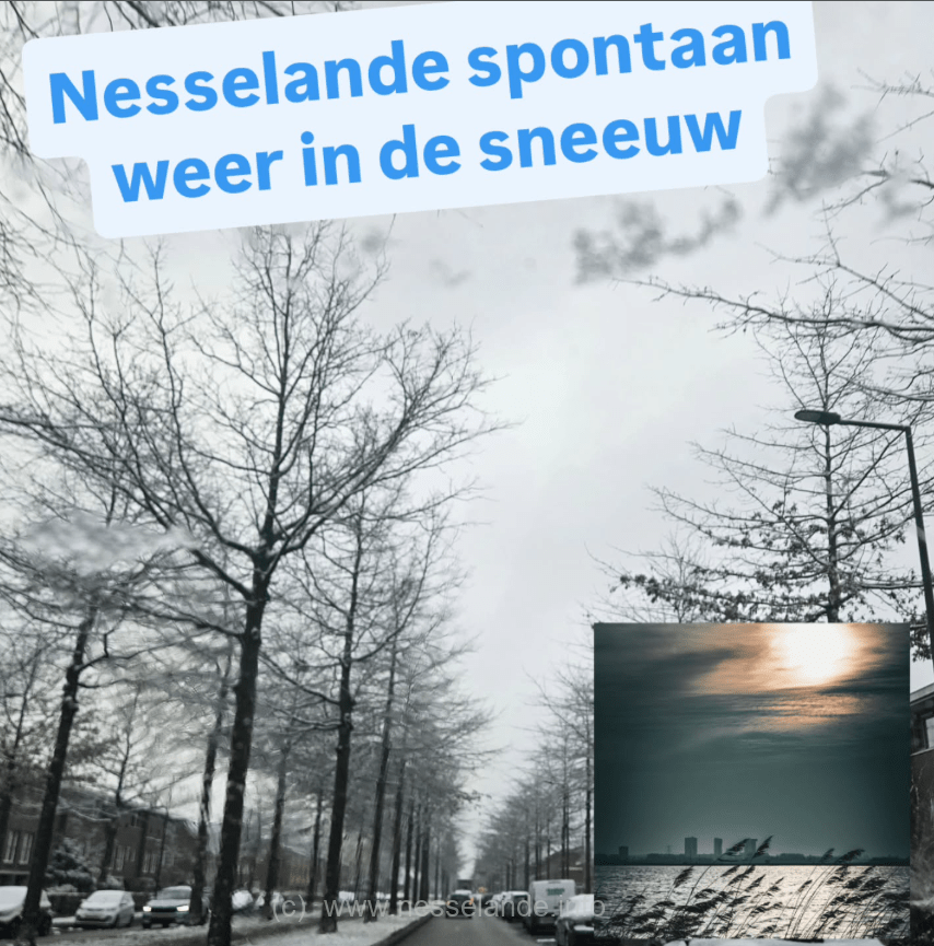 Nesselande voor even weer in de sneeuw