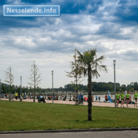 img_69ad786652a27