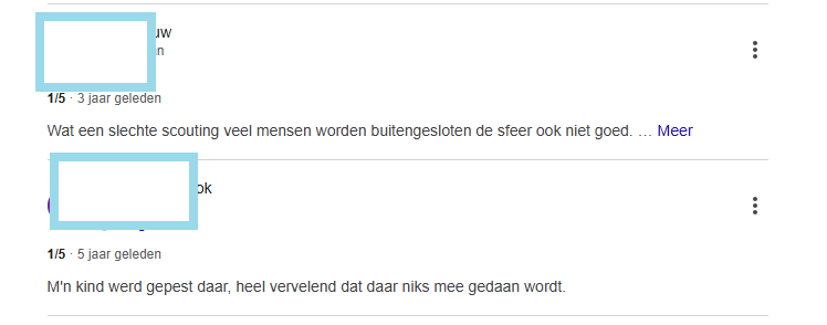 Online al langer zeer kritische reviews over de scouting.